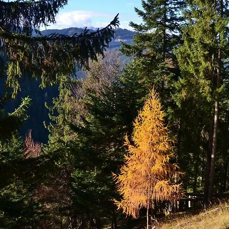 Edelweiss Top21 Gosau