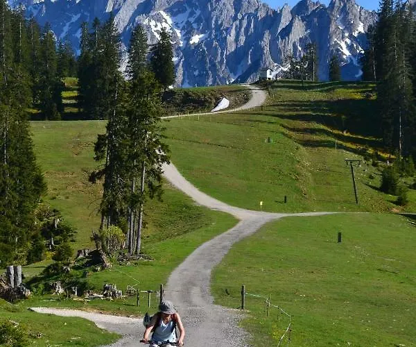 Konukevi Edelweiss Top21 3*