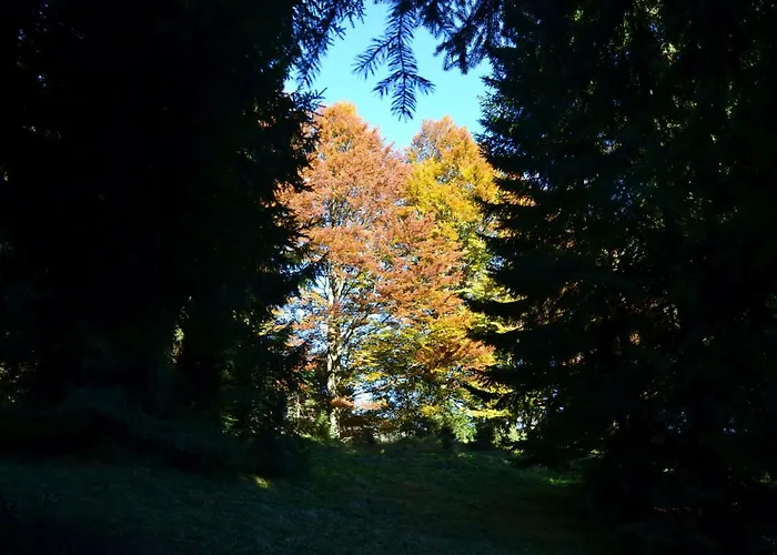 Konukevi Edelweiss Top21 Gosau