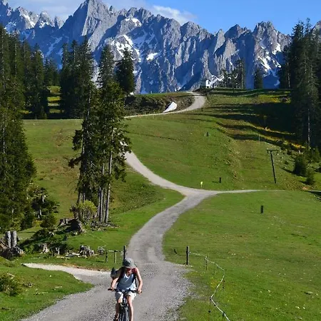Pensjonat Edelweiss Top21 *
