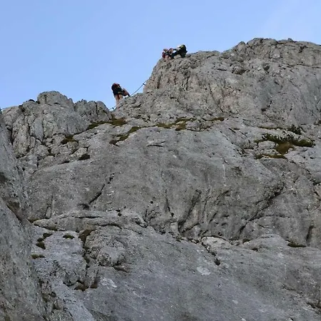 Edelweiss Top21