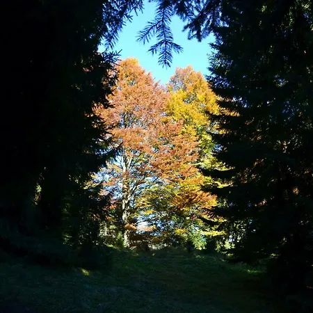 Pensjonat Edelweiss Top21 Gosau