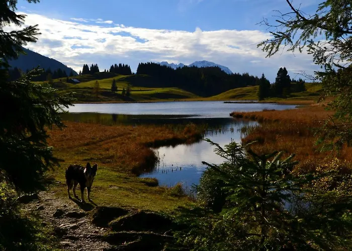 Edelweiss Top21 3* Gosau