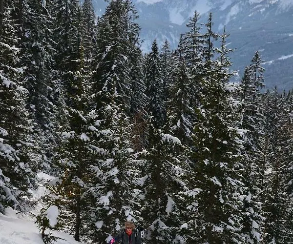 Edelweiss Top21 Casa de hóspedes