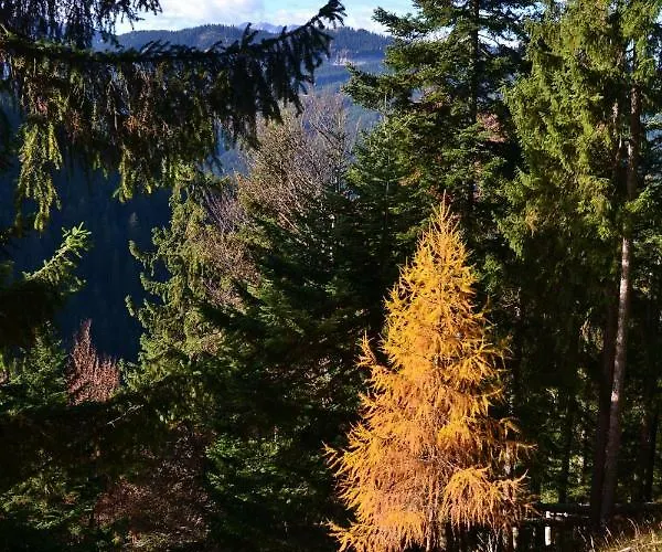 Edelweiss Top21 Gosau