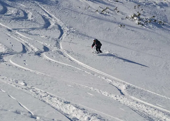 Casa de hóspedes Edelweiss Top21 3*